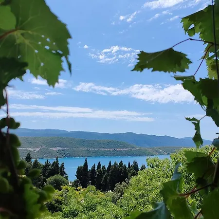 Guest house Lucerna Neum